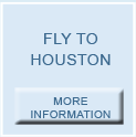 Fly to houston to see Dr. Nath regarding brachial plexus.