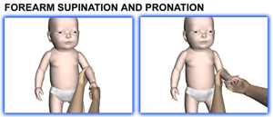 Brachial Plexus and erbs palsy - Baby Range of motion - Supination