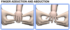 Brachial Plexus and erbs palsy - Baby Range of motion - Finger Adduction