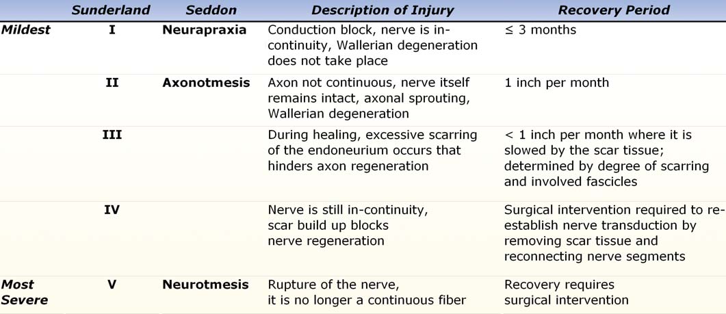 Classifications of Nerve Injury