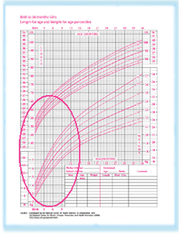 click to Enlarge Image